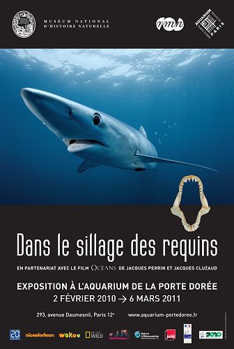 requin