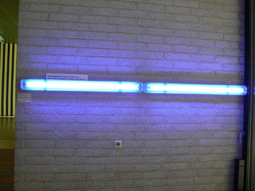 Dan Flavin