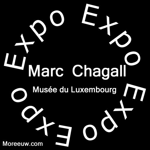 exposition chagall 2013