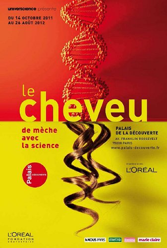 exposition cheveu