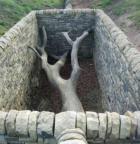 Andy Goldsworthy
