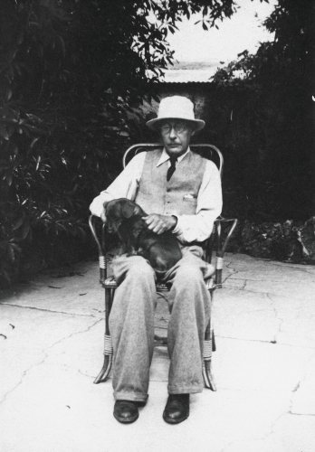 pierre bonnard