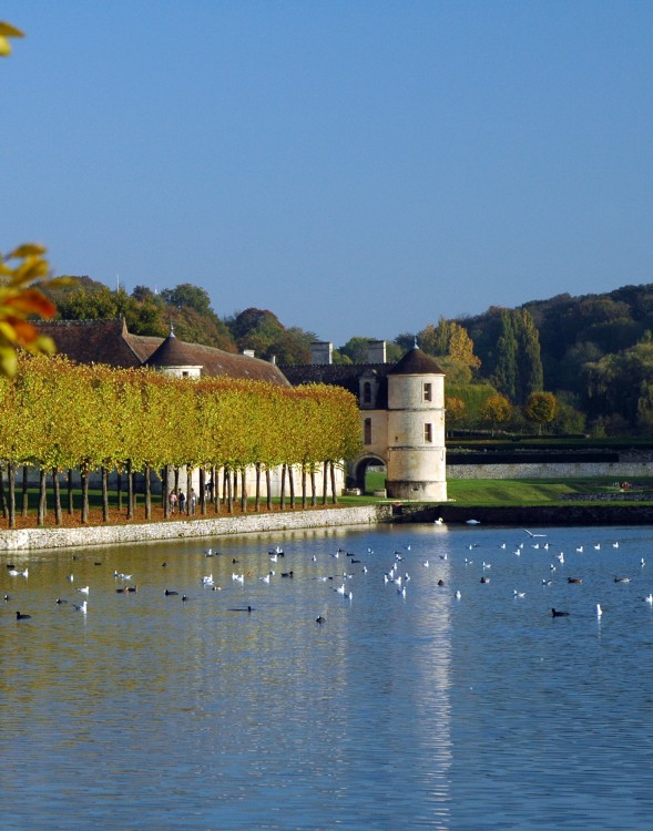 Rendez-vous aux jardins