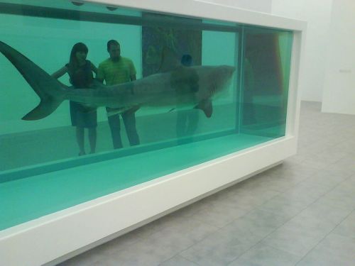 requin Damien Hirst