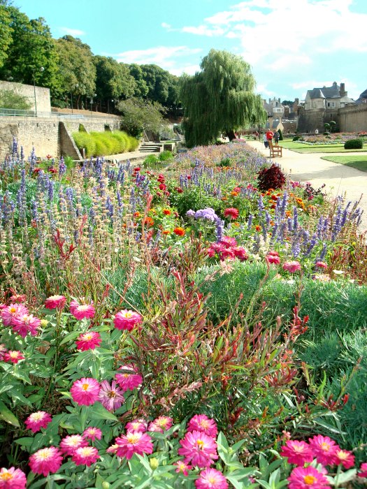 photographie fleurs