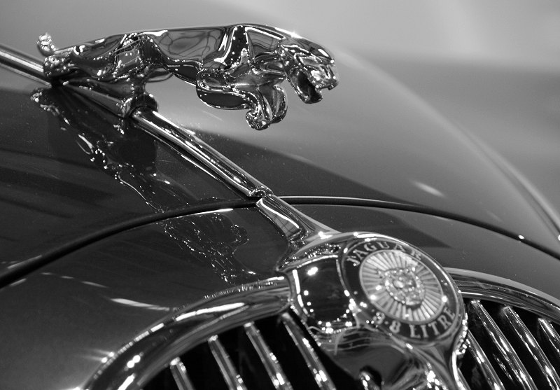 jaguar voiture photo