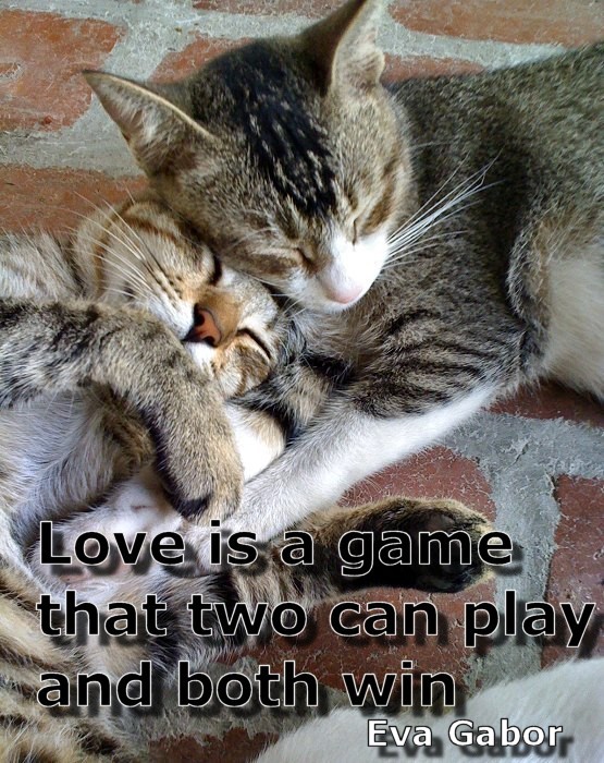 Love is a game that two can play and both win